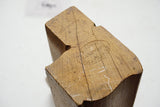 FINE V. A. EMOND OGEE PLANE WITH RARE NEW BRUNSWICK HARDWARE STAMP