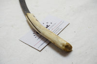 FINE EARLY JOSEPH RODGERS BONE HANDLED FARRIERS HOOF KNIFE